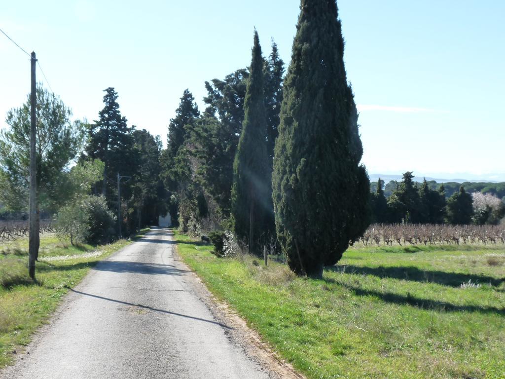Chateau La Bouriette Moussoulens Luaran gambar