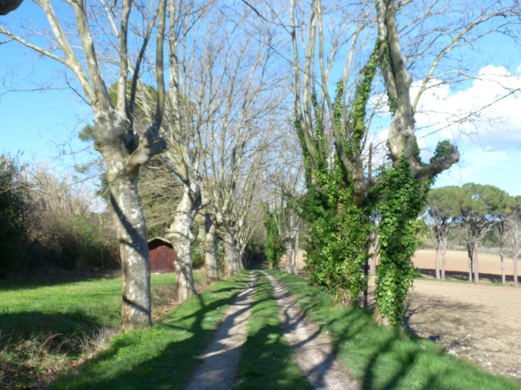 Chateau La Bouriette Moussoulens Luaran gambar
